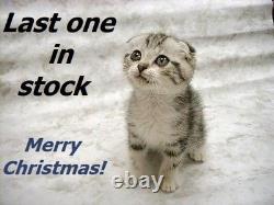 1945 MINT U. S. WAR-TIME SILVER SET LUSTROUS CHOICE to GEM BRILLIANT UNCIRCULATED