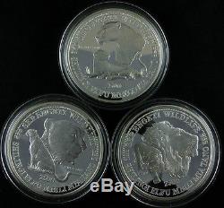 1998 TANZANIA 2500 Shilingi 50 Oz Silver 10 Coins Proof Set Serengeti Wildlife