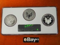 2006 P Reverse Proof Silver Eagle Ngc Pf70 Ms70 Pf70 20th Anniversary Set Multi