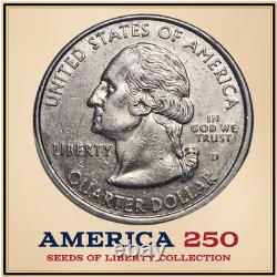 2017 D George Rogers Clark Quarter RARE Good Condition
