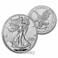 2021 Silver Eagle 2-Coin Designer Reverse Proof Set (withBox & COA)