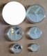 2024 Mexico Libertad 5 Coin Silver Proof Set (1/20 1/10 1/4 1/2 & 1 Oz) Capsules