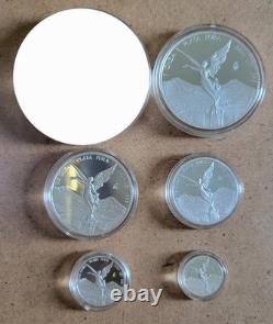 2024 Mexico Libertad 5 Coin Silver PROOF Set (1/20 1/10 1/4 1/2 & 1 oz) Capsules