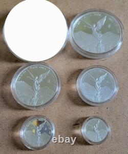 2024 Mexico Libertad 5 Coin Silver PROOF Set (1/20 1/10 1/4 1/2 & 1 oz) Capsules