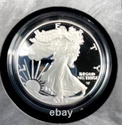 2025-S US Mint Limited Edition Silver Proof Set -Stunning DCAM OGP/COA